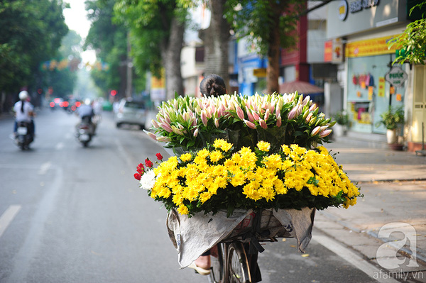 Classic Tour Hanoi - Halong - Ninh Binh 5D4N